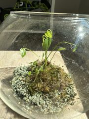IMG_7983.jpeg