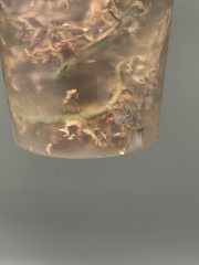 IMG_4692.jpeg