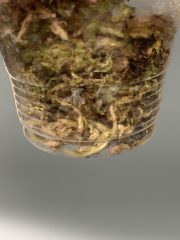 IMG_4615.jpeg