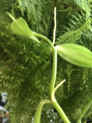 IMG_9546.jpeg