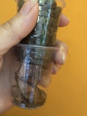 IMG_9485.jpeg