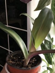 IMG_9433.jpeg