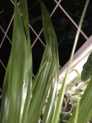 IMG_9430.jpeg