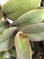 IMG_9733.jpeg