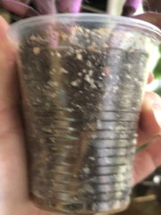 IMG_9707.jpeg