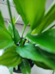 IMG_20250723_103443.jpg