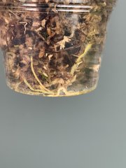 IMG_4983.jpeg