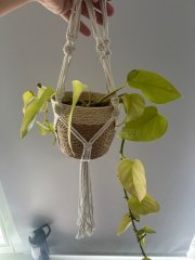 image15.jpeg