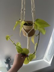 image14.jpeg