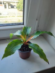IMG_20250723_103934.jpg