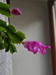 20250406_145816.jpg