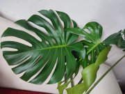 IMG_20250801_111815.jpg