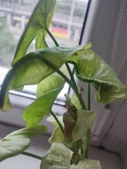 IMG_20250802_094412.jpg