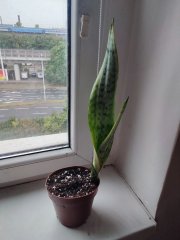 IMG_20250802_194041.jpg