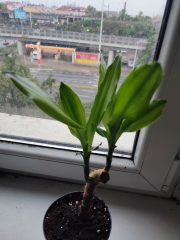 IMG_20250802_194317.jpg