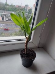 IMG_20250802_194247.jpg