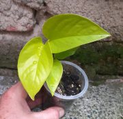 20250803_152719.jpg