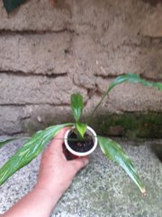 20250803_152740.jpg