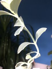 IMG_0016.jpeg