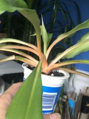 IMG_0013.jpeg