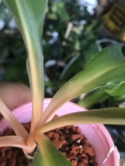 IMG_0004.jpeg