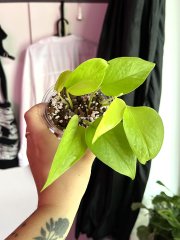 IMG_8283.jpeg