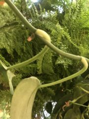 IMG_0286.jpeg