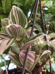 IMG_0283.jpeg