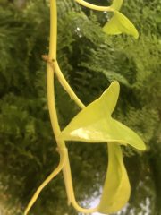 IMG_0264.jpeg