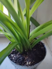IMG_20250820_085348.jpg