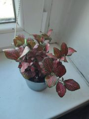 IMG_20250820_085436.jpg