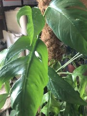 IMG_0351.jpeg