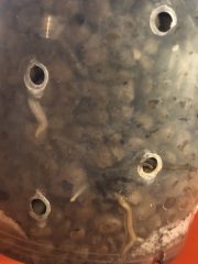 IMG_0333.jpeg