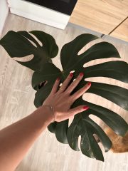 IMG_4546.jpeg