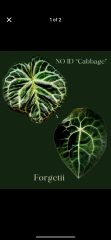 image7.png