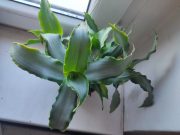 IMG_20250903_095841.jpg