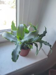 IMG_20250903_095830.jpg