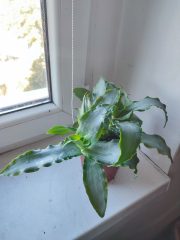 IMG_20250904_085741.jpg