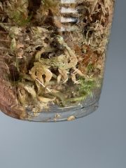 IMG_6134.jpeg