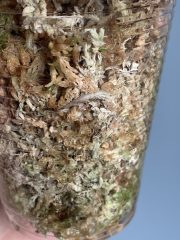 IMG_6132.jpeg