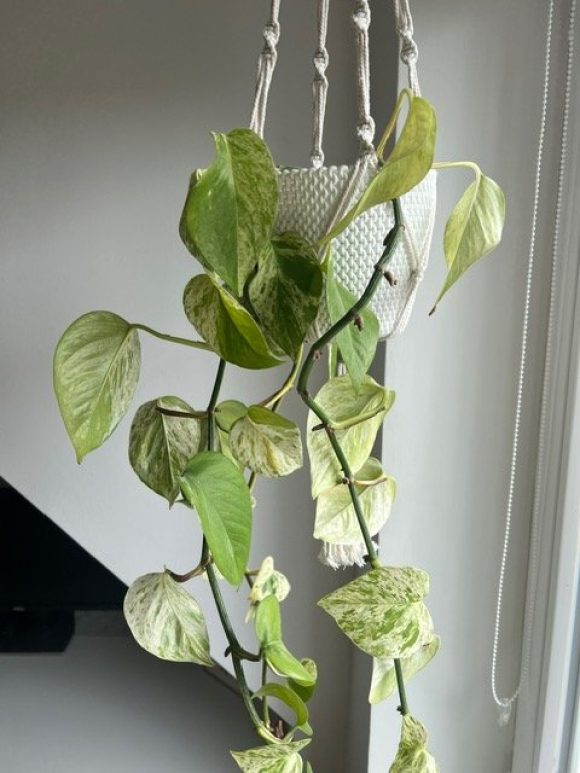 image11 (1).jpeg