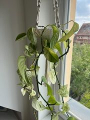 image10 (1).jpeg
