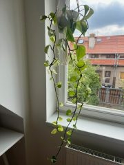 image7 (2).jpeg