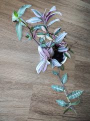 IMG_20250919_091543.jpg