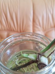 20250919_131538.jpg