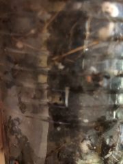 IMG_0687.jpeg