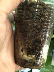 IMG_0680.jpeg