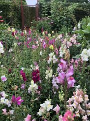 IMG_0259.jpeg