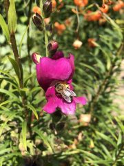 IMG_1030.jpeg