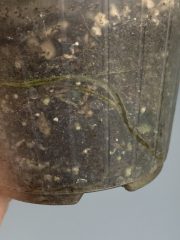 IMG_6882.jpeg